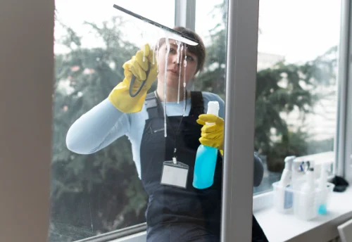 Nettoyage de vitres intérieures et extérieures à Rougnat